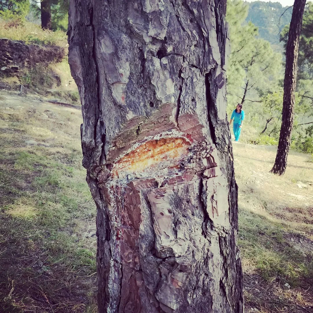 घाव 😢