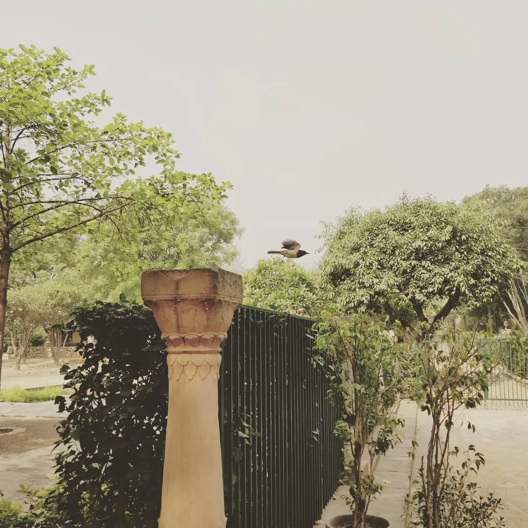 उड़ान