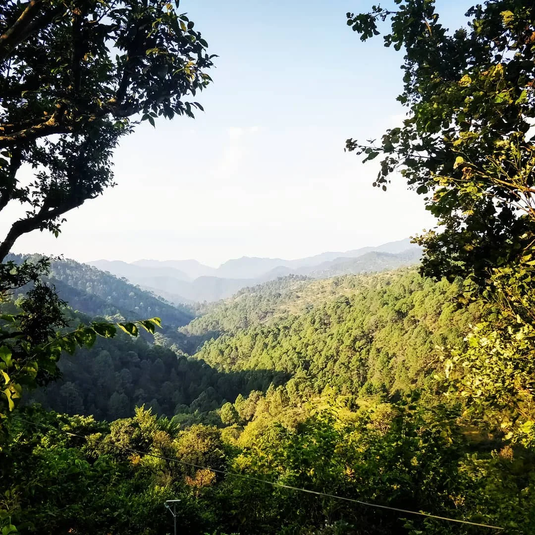 Landscape