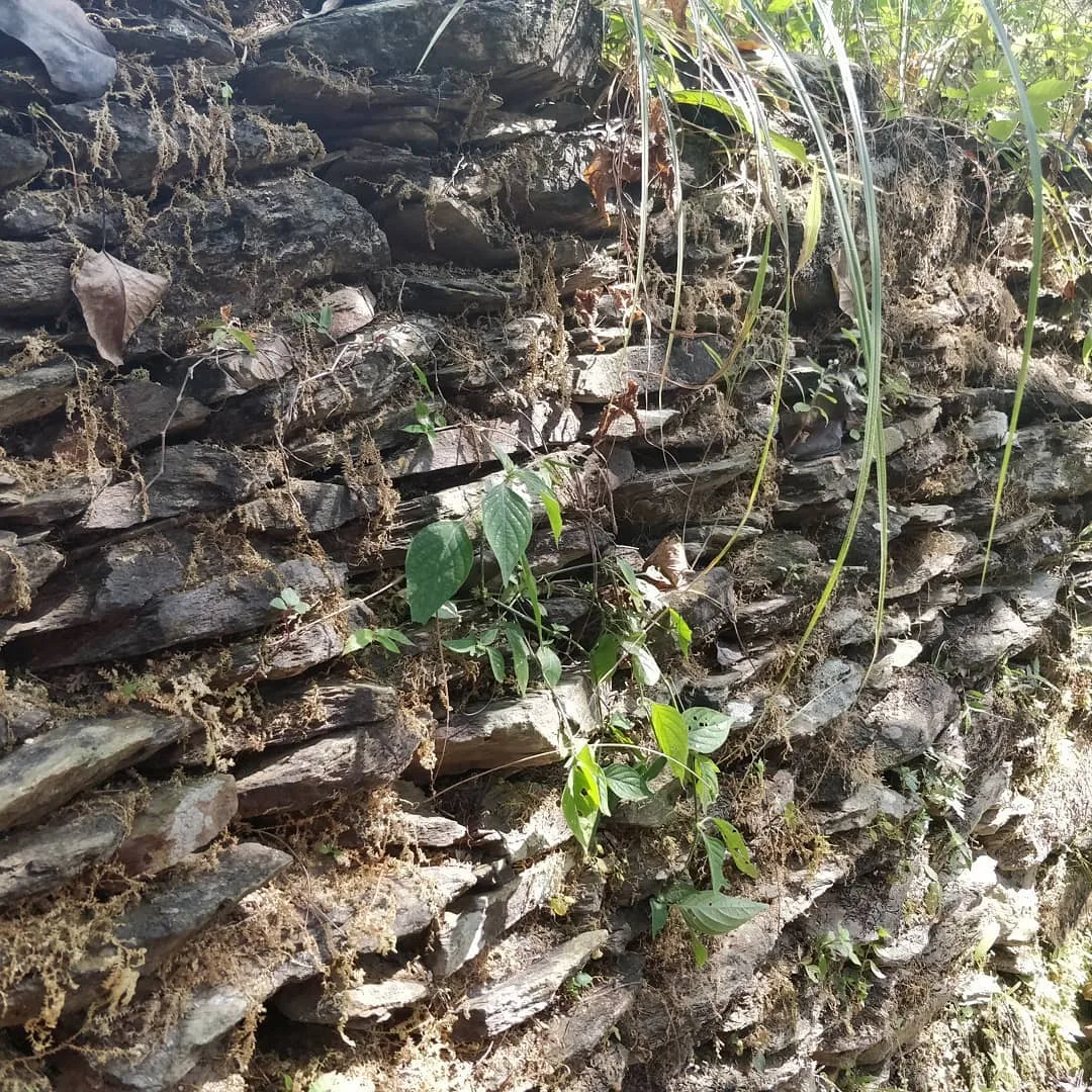 Walls are generally made to keep people away. But some walls invite you to have conversations with them.

कुछ दीवारें आपको दूर हटाती हैं। और कुछ, अपने पास बुलाती हैं।