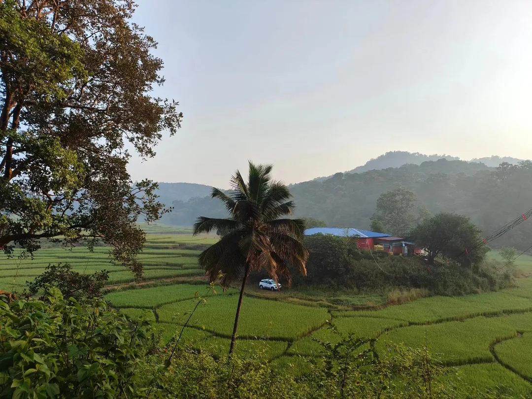 Out for a #morning #walk. These are some #fields near our #campsite.