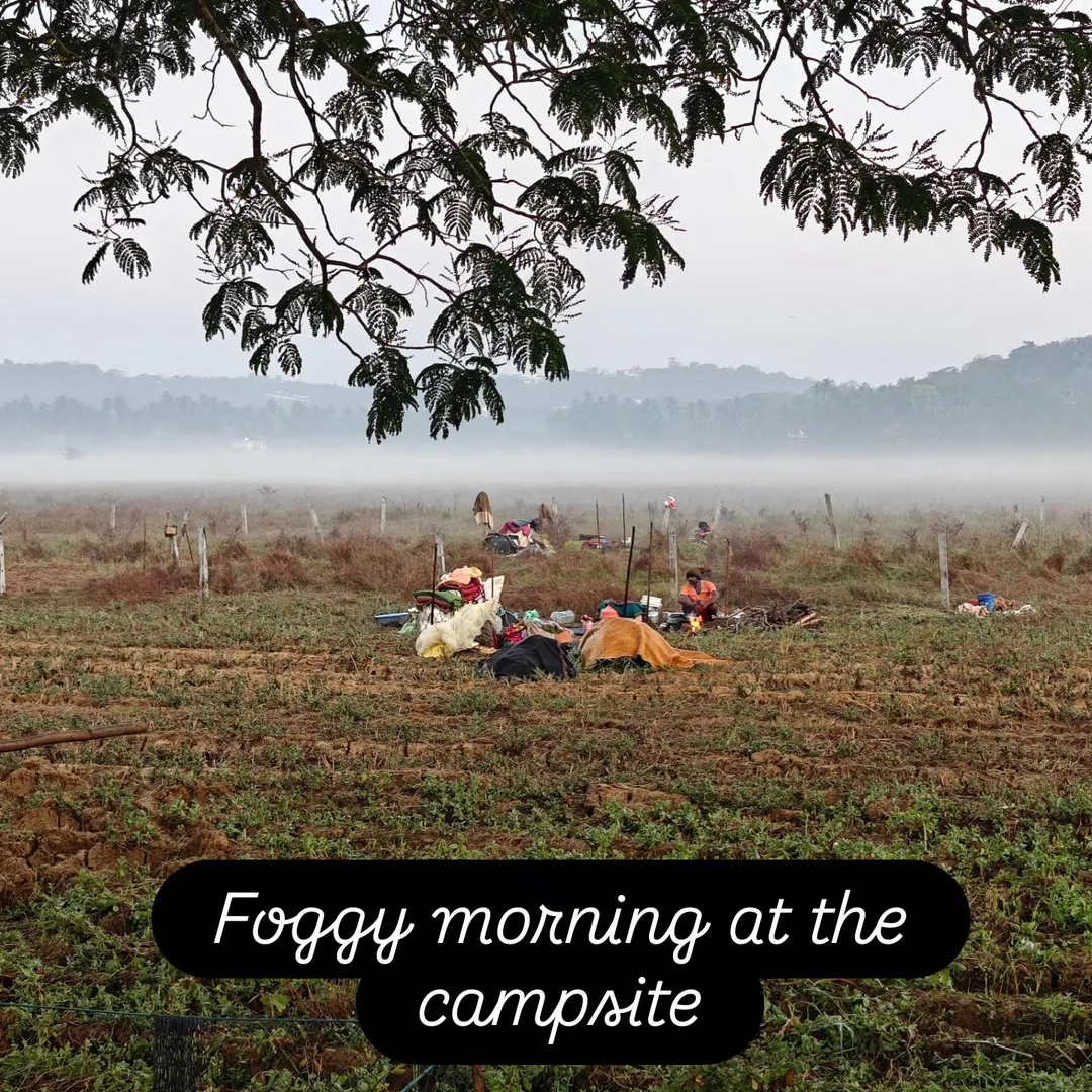 Foggy morning at the campsite