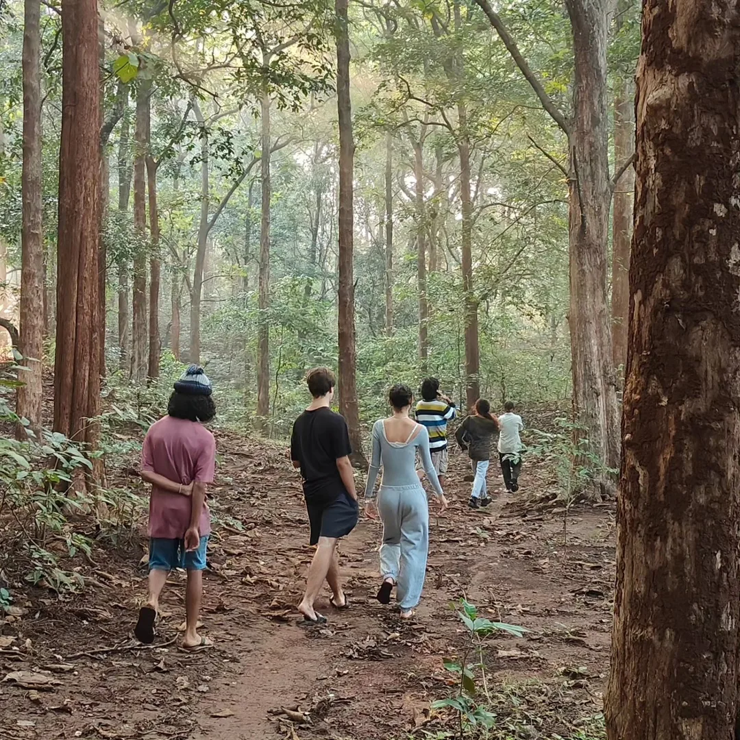 Motivating a bunch of #teenagers to go for an early #morning #walk through the #forest is hard. Hard but rewarding.