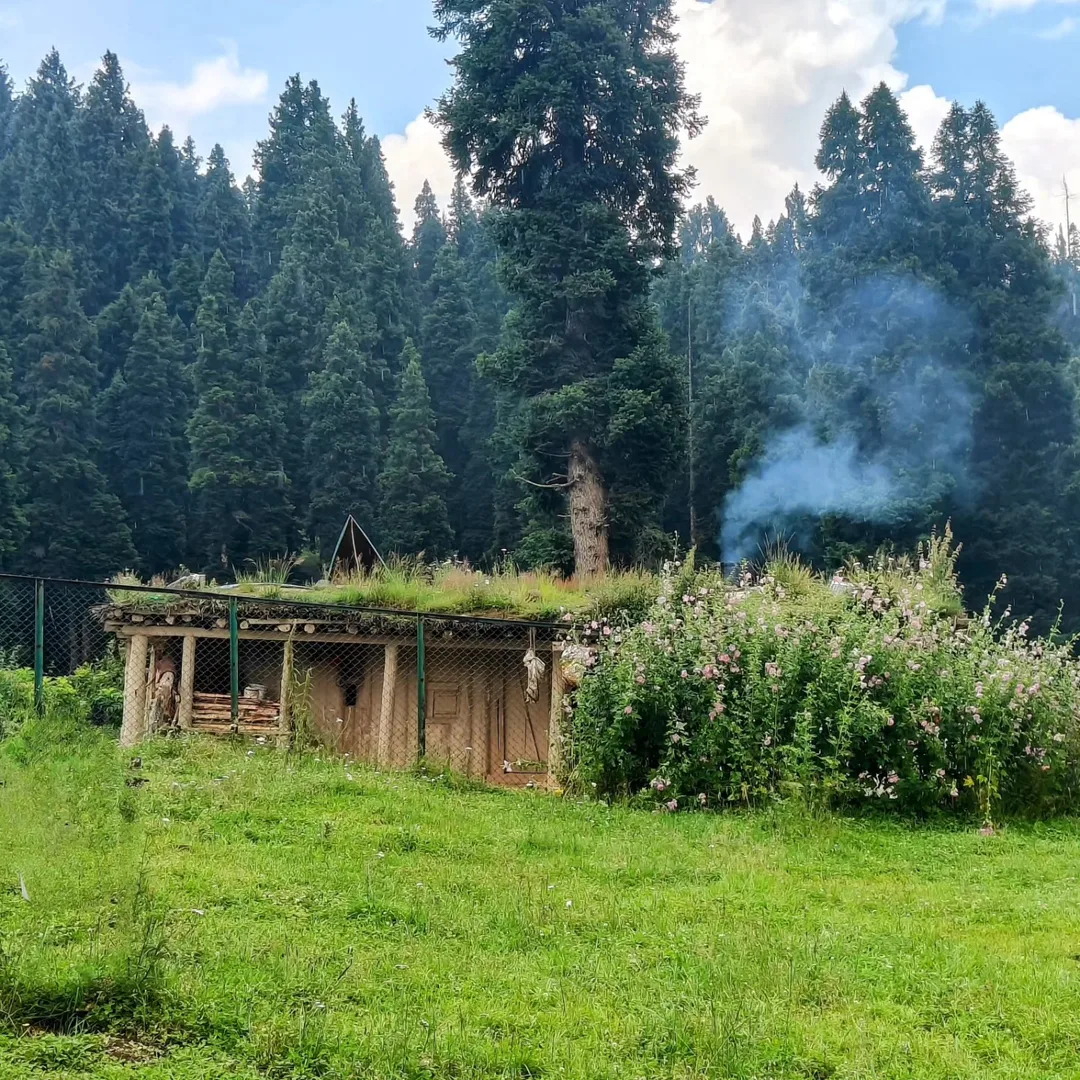 You'd be tempted to call them Hobbit houses, except they likely predate Tolkien's imagination by hundreds of years.