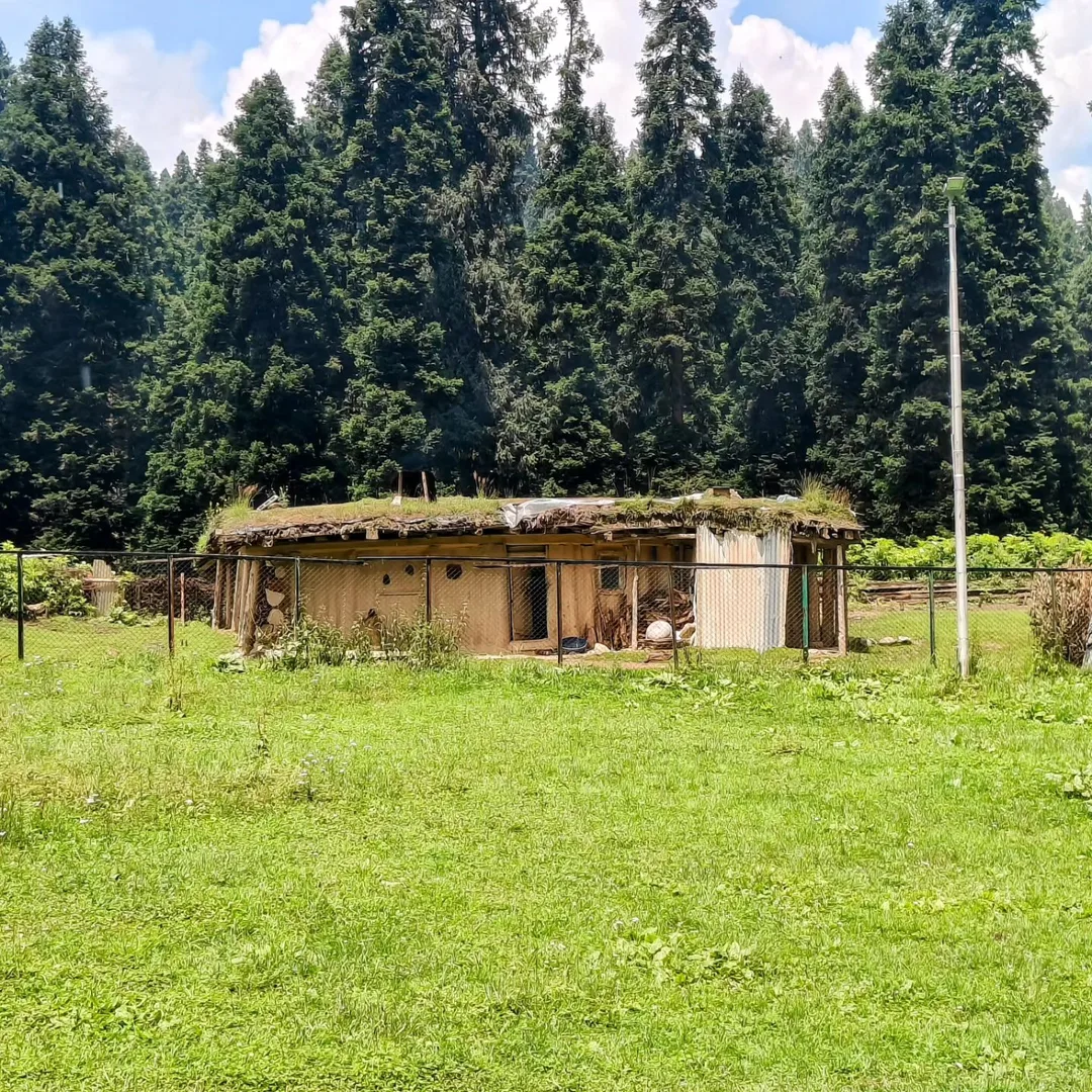 You'd be tempted to call them Hobbit houses, except they likely predate Tolkien's imagination by hundreds of years.