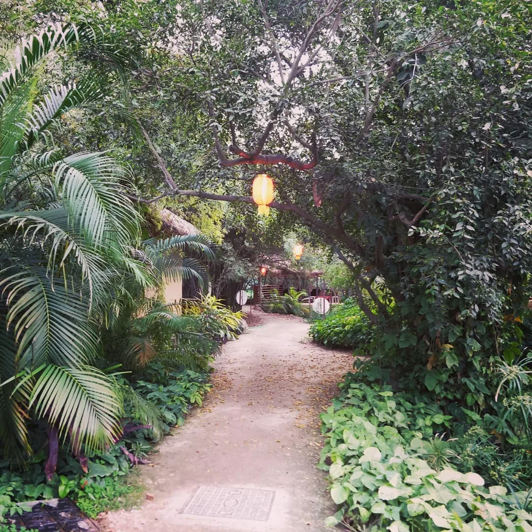 Home