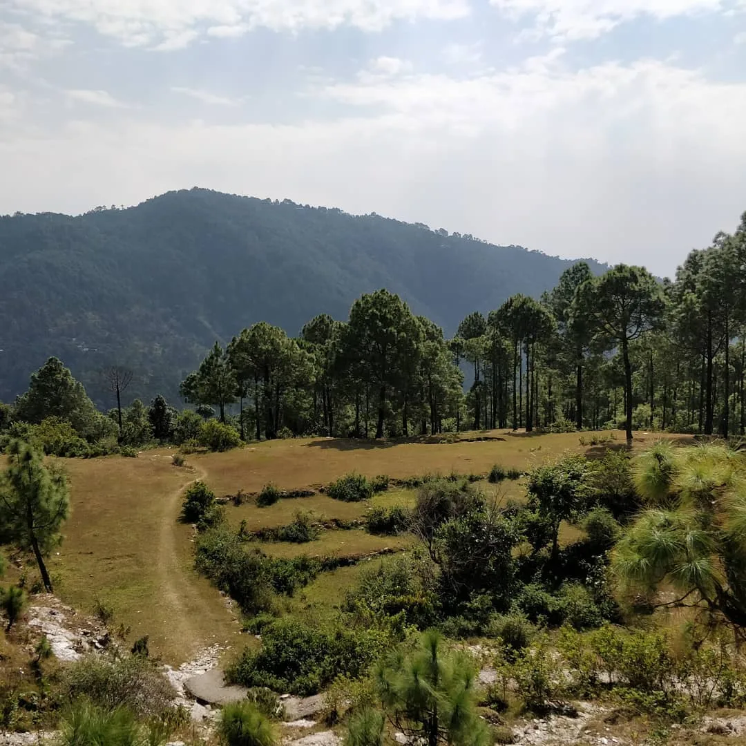 क्योंकि पिछला landscape पसंद आया आपको। इसलिए, यह लो, यह भी लो, सारे ले लो, और भागो यहाँ से 👾