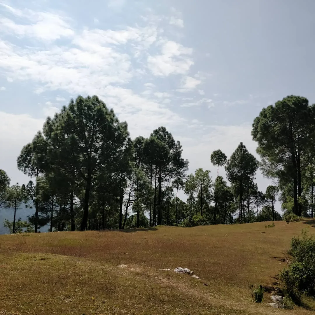 क्योंकि पिछला landscape पसंद आया आपको। इसलिए, यह लो, यह भी लो, सारे ले लो, और भागो यहाँ से 👾