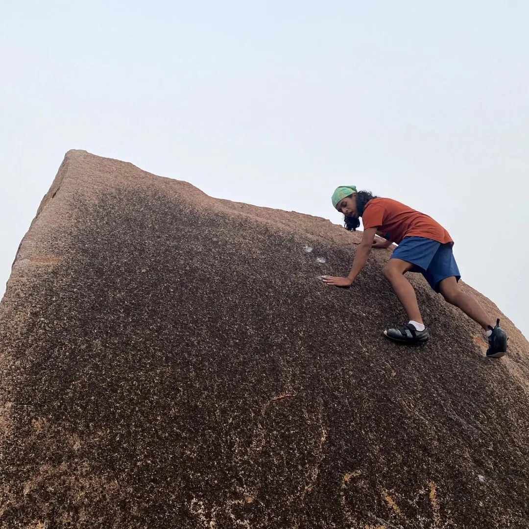 Climbing and falling and jumping. That's all they do all day.