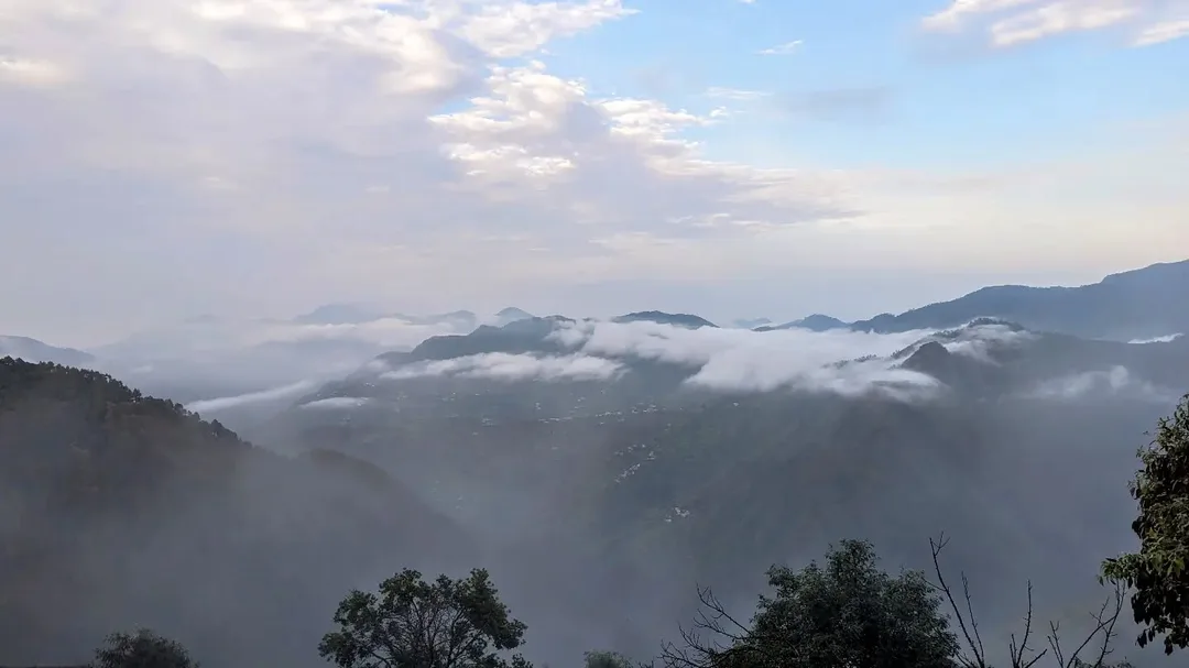 आज सुबह की photos की खेती