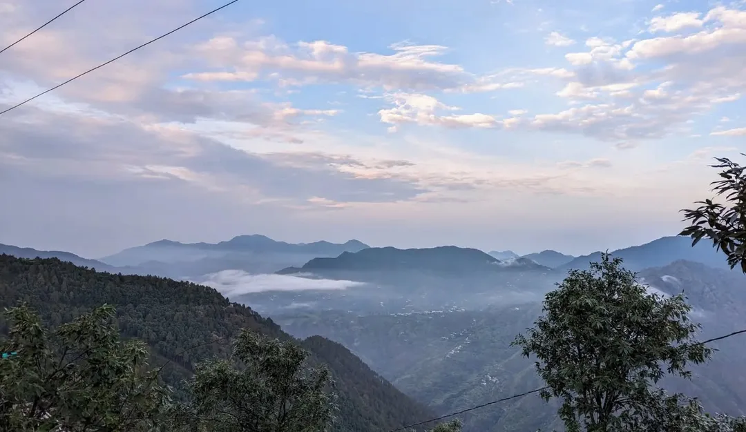 आज सुबह की photos की खेती