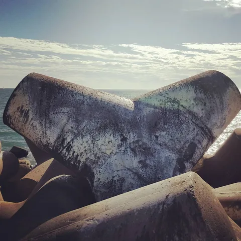 #whale