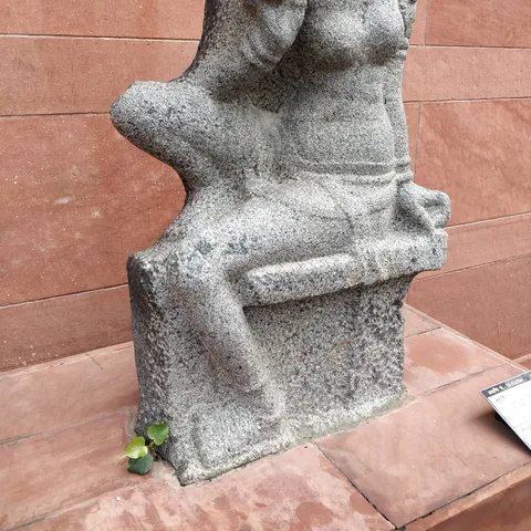 A plant 🌿 shoots out from the base of a Bhudevi statue. How appropriate. Its literally breaking out of the rock.