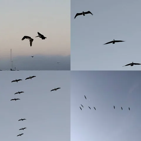 #Birds of a feather