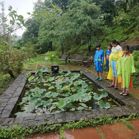 Contemplating on the #pond