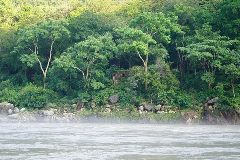 घर। सपनों वाला।