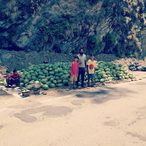 @fakeera_baanwra I fed the 🐒s #watermelon for #lunch. Does that make you happy?

#vanlife #Theog #HimachalTourism #Himac