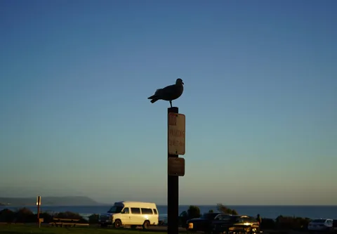 Time to go home

Photo by Nilay