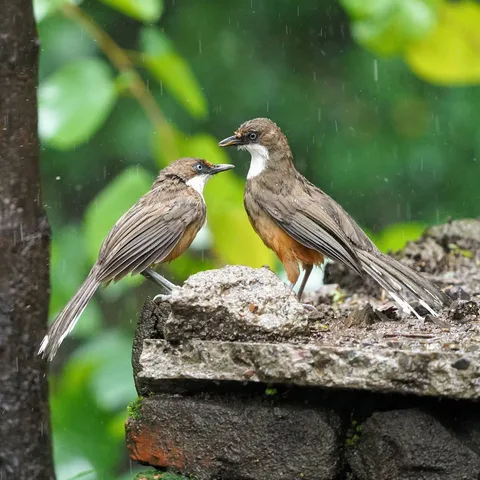 Ei! Freddie! Are we doing this or what?

See boss, the thing is, it's the little one's birthday today, and I don't wanna