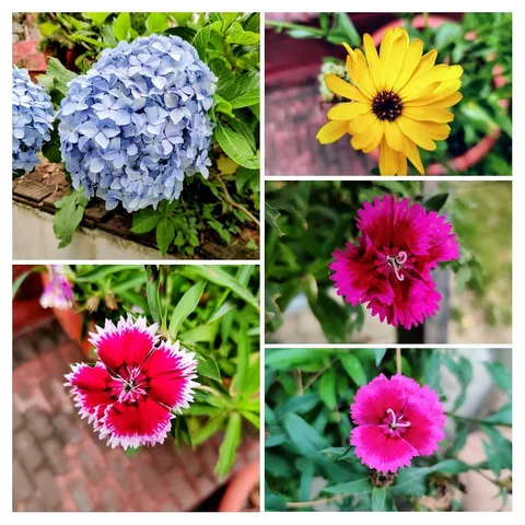 Can you help me with the names?