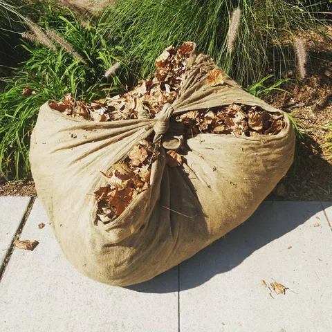 टाट की बोरी in America. Just lying by the roadside near Google and other fancy corporate offices.