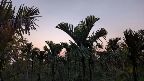 I've been unwell for some time and unable to work. So we stepped out tonight for a change in scenery and some fresh(er) 