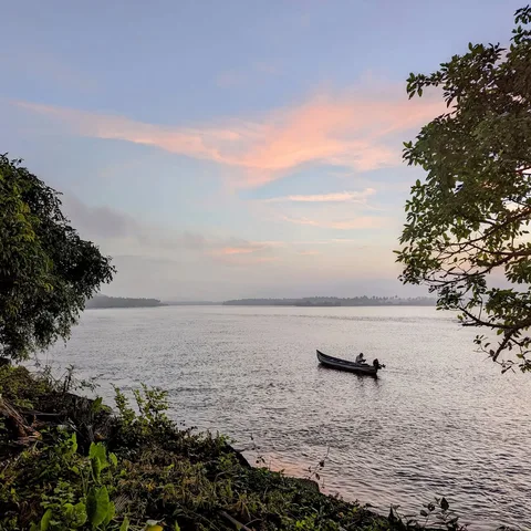 About this morning