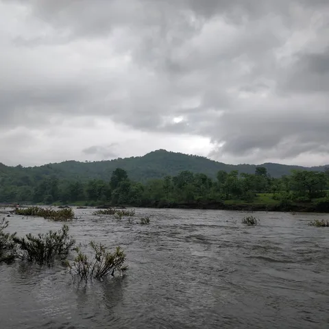 Savitri river