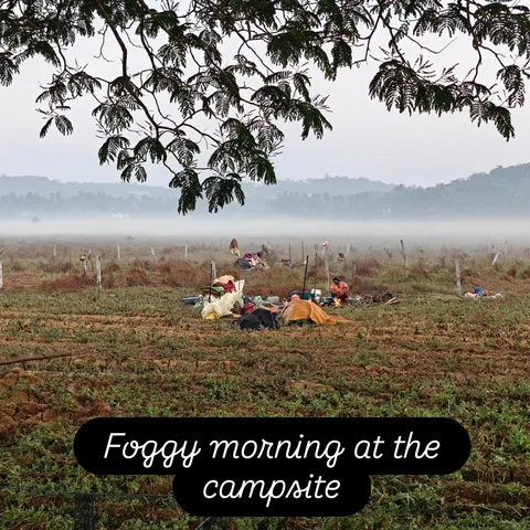 Foggy morning at the campsite