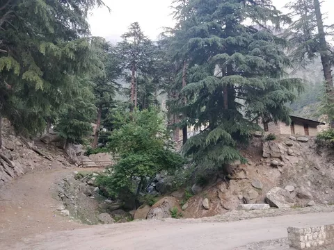This is a very #scenic, #idyllic spot. I'm unable to capture its #beauty with my phone. There are some winding stairs, a