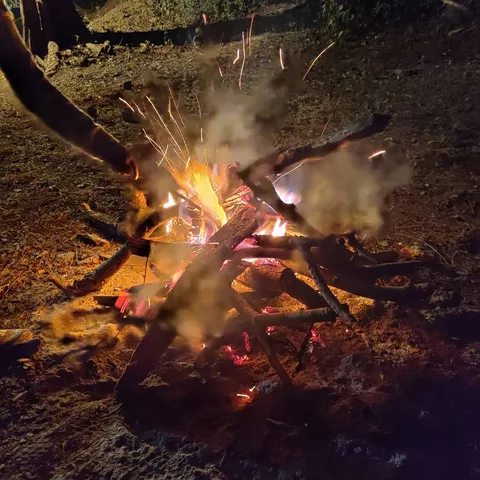Why kids have to leave behind #pollution, then participate in a #bonfire, is beyond me.