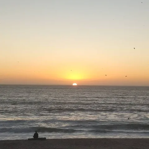 #sunset