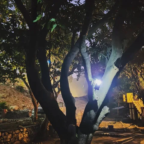 Me likes the lighting at this #campsite