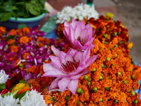 #varanasi #india #banaras #kashi #banarasi #travel #varanasidiaries #uttarpradesh #photography #benaras #ganga #incredib
