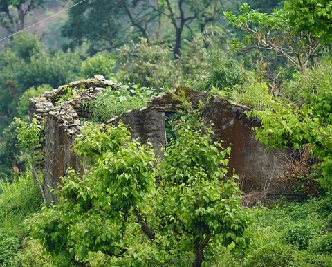Pahadi ruins