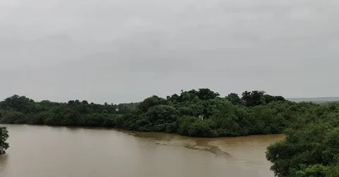 Rather futile attempt at capturing the beauty of Goa in the rains