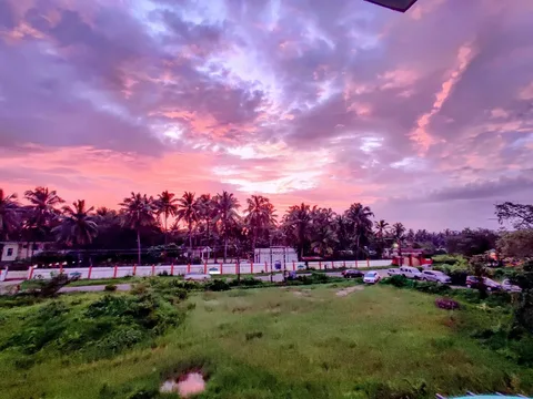 The #sky at #sunset burst into a riot of #colours today
