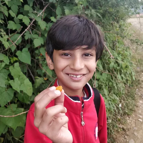 Our #guide is feeding us #wild #berries. They are amazingly #delicious.

The #rain has stopped and the #sun is out. Phot