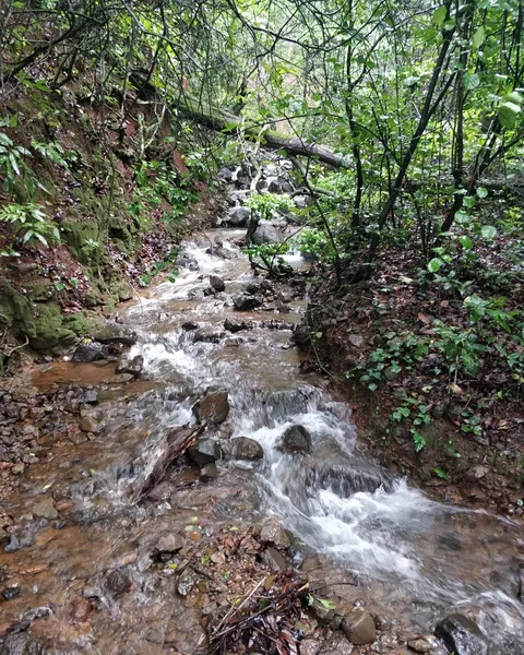 #झरना #waterfall

The magical sounds of nature.