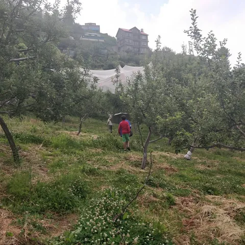 Our #guide today is very #naughty. He cannot walk straight. Has to jump around and crawl through barbed wire.