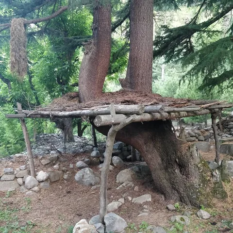 As you folks would have noticed by now, we went for a #village #walk.

Walking through villages is always the high point