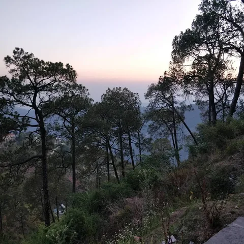 We are leaving this behind and moving on

#Kasauli #HimachalTourism #HimachalPradesh #vanlife