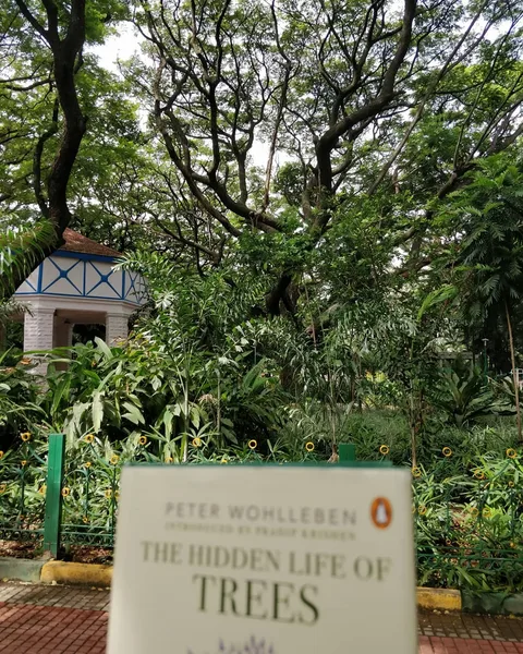 Sitting among trees. Reading about trees. The joys of a lazy #Bangalore morning.
