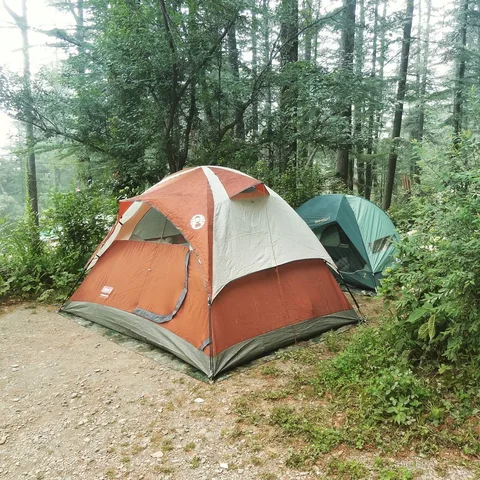 The mountains are calling. Darn things are always calling; someone tell them to shut up and let me live in peace.
