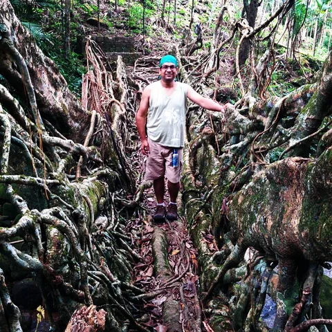 Living root bridges in Meghalaya are simply awesome
