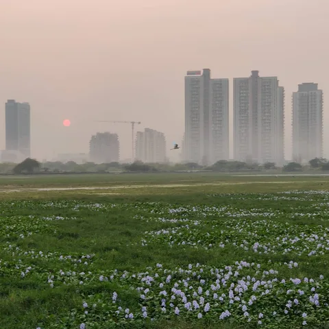 Concrete stacks rising out of smoke
A setting sun
A bird headed home
And a pond settling down for the night