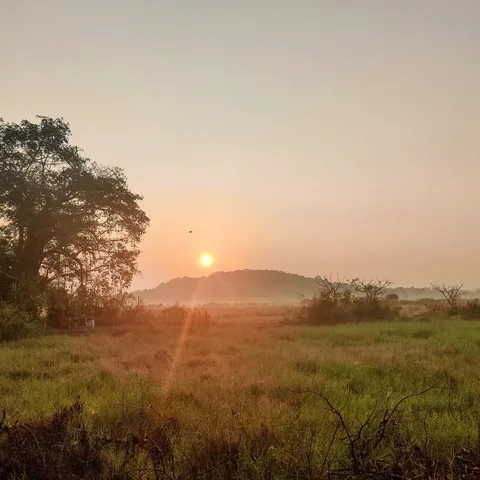 'Morning