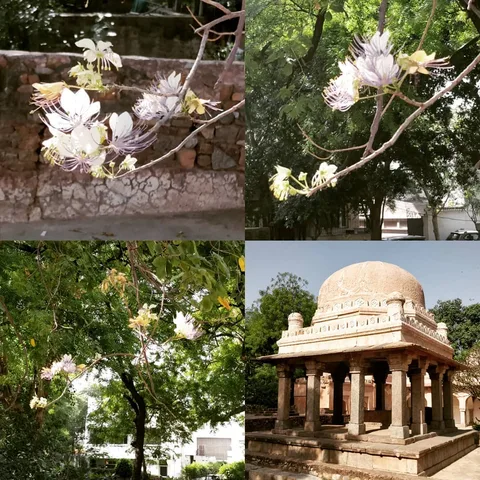 A religious place that gives you peace - so rare