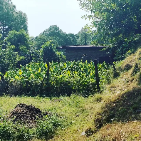 खेती