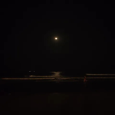 Looks like we are still decades away from artificial lenses accurately capturing the beauty of the night sea. Another ha